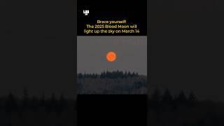 RARE Blood Moon Event on March 14, 2025 – Don’t Miss This Cosmic Spectacle #shorts #lab360