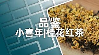 秋季宜饮桂花酒？不如先饮桂花茶 | Let’s Try Osmanthus Black Tea Today |  ENG SUB