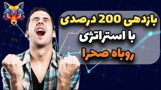 استراتژی قدرتمند روباه صحرا | با این استراتژی تضمینی سودکن داخل بورس