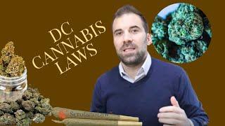 Why DC Has No Legal Recreational Dispensaries | DC Cannabis Lawyer | Scrofano Law PC