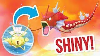 CATCHING SHINY MAGIKARP & EVOLVING SHINY GYARADOS - Pokémon Let's Go Eevee Pikachu