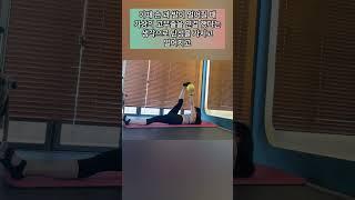 옆구리 운동 쉬운 버전과 어려운 버전 #복부운동 #옆구리운동 #hangingwipers #everysecond #동안체형 #합정피티 #웰에이징
