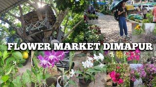 Naga Flower's Lover || Famous Flower Market Super Market ||Shopping At Dimapur Market Nagaland