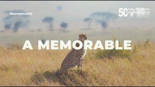 Unleash the Ultimate Safari Adventure with Savannah Tours!