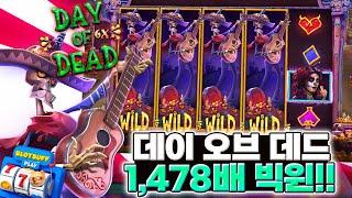 [슬롯][슬롯머신] 데이 오브 데드 1,478배 BIG WIN!!