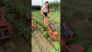 Portable 48-volt lithium battery weeding loose soil ditching machine electric weeding ditching..