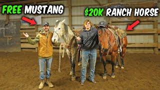 FREE Mustang VS $20k Ranch Horse!