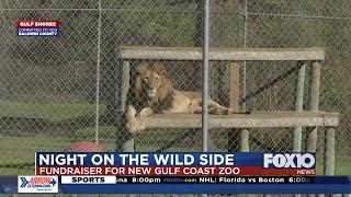 Alabama Gulf Coast Zoo taking a walk on the Wild Side