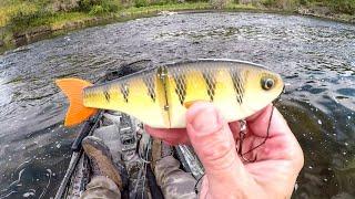 Glide Bait Fishing For River Pike!