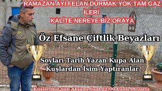  SALI AKŞAMI ÇOK BÜYÜK KUŞLARIMIZ VAR BUNLAR PART-1 DİĞER PART SÜPRİZ OLSUN #Süleyman_aruk ️