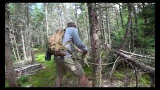 A Day in the Backcountry - Collecting Wild Hazelnuts