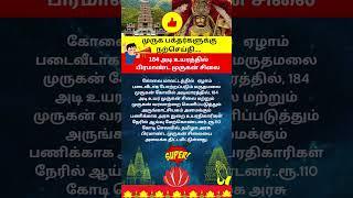 முருக பக்தர்களுக்கு நற்செய்தி # மருதமலை # Murugan #ஆன்மீகதகவல்