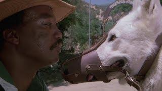 Preview Clip: White Dog (1982, Paul Winfield, Kristy McNichol, Burl Ives, Bob Minor)