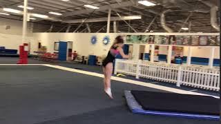 Julian Price-front handspring front 1 1/2