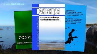 "Команда 47" и природный заказник "Кургальский".