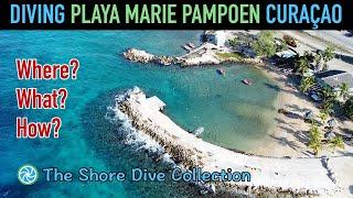 Playa Marie Pampoen Curaçao | The Shore Dive Collection | TropicLens   4K