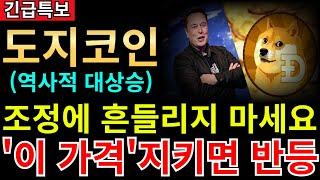 도지코인 조정에 흔들리지 마세요. "이 가격" 지키면 역사적 대상승 옵니다!!!