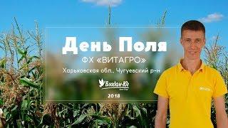 День Поля 2018 | Харьковская область |  фермерское хозяйство "ВИТАГРО"