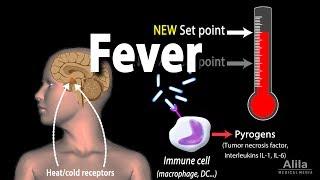 Induction of Fever, Control of Body Temperature, Hyperthermia, Animation.