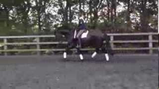 Emily Dickson riding Rosent at Witcham House Farm on 30th Sept 2013.