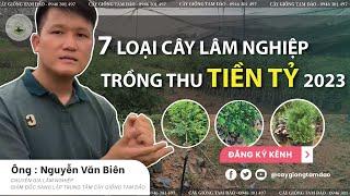 Trồng 7 loại cây Lâm Nghiệp Năm 2023 thu tiền tỷ chắc ăn nhất