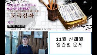 11월 일간별 운세 , 신해월 일간별 운세파악.