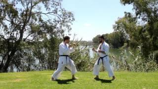 Pinan Nidan / Heian Shodan  ----  Kata y Bunkai