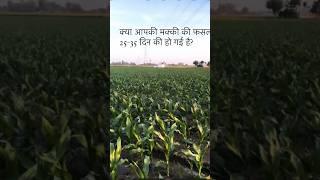 Zintrac700 Yara #viral #farmer #farming #farmerprotest #farm #agriculture #