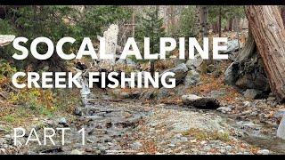 Tenkara Fly Fishing for Chunky Trout in a Tiny SoCal Alpine Creek (Part 1)