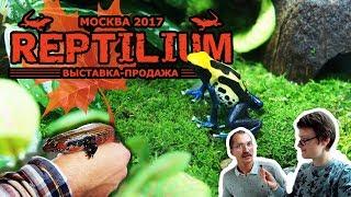 Второй РЕПТИЛИУМ 2017. Змеи, ящерицы, лягушки и много всего! 7.10.17