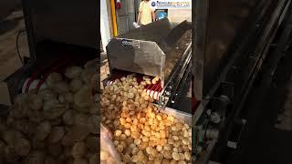 Panipuri Machine | Panipuri Dryer Machine | Panipuri Sapretor #shorts #shortsfeed #trending #ytshort