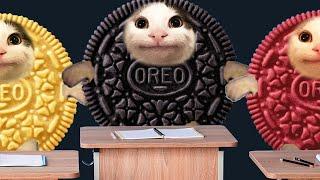 OREO CAT IS CRYING 