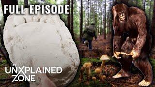 Sasquatch Evidence FOUND in Vancouver | MonsterQuest - Full Ep | The UnXplained Zone