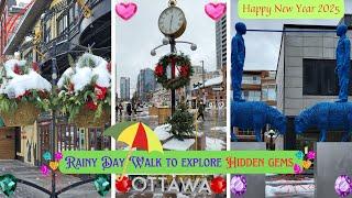 Hidden Gems of Ottawa Walking Tour! #Canada #trending #travel