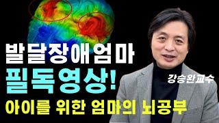 공부한 만큼 내 자녀의 뇌가 건강해질 수 있다.? 내 아이를 위한 엄마의 뇌공부