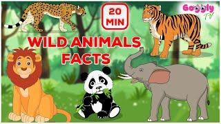 Wild Animals Facts for preschool kids | Animal series | Education and Entertainment