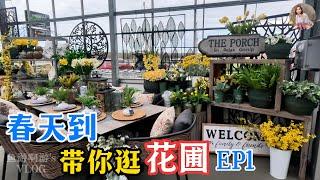 047.【我的爱好】春天到，带你逛多伦多北部的大花圃。EP1。。花园装饰，花园家具，兰花，阔叶植物，肉肉等等什么都有。