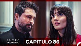 Fruto Prohibido Capitulo 86 (Doblado en Español)