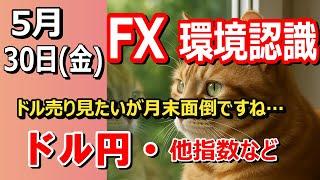 【TAKA FX】ドル売り見たいが月末注意　ドル円他各通貨の環境認識解説。各種指数、GOLDなど　5月30日(金)
