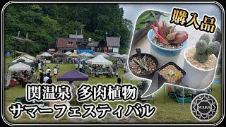 【植物イベント】関温泉 多肉植物サマーフェスティバル！【アガベ】【園芸】【多肉植物】