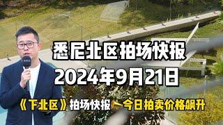 9月21日《下北区》拍场快报今日拍卖价格飙升