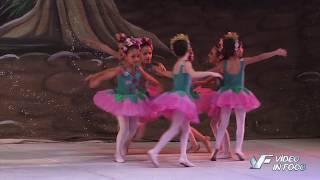 ARTE DANCE 2016 - Flores Rosas