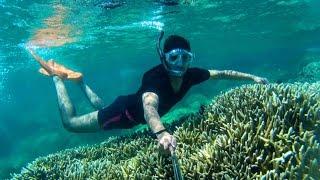 Snorkeling with Coral Reef Fish - Pigeon Island - Trincomalee