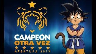 Mi Corazón Encantado -  TIGRES CAMPEÓN 2017 OPENING