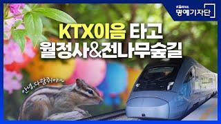 [한국철도Ⅹ홍윤이네] KTX이음 타고 월정사&전나무숲길, 걷기 좋은 곳으로 #주말나들이 