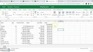 Shopping Spree Excel Project