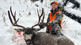 DEEP SNOW & BIG BUCKS / Montana Mule Deer Hunt - Stuck N The Rut 199