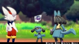 Riolu fighting with it’s mom (Lucario) in Pokémon camp