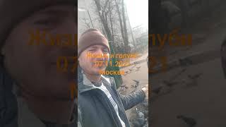 приятные мелочи жизни