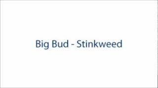 Big Bud - Stinkweed